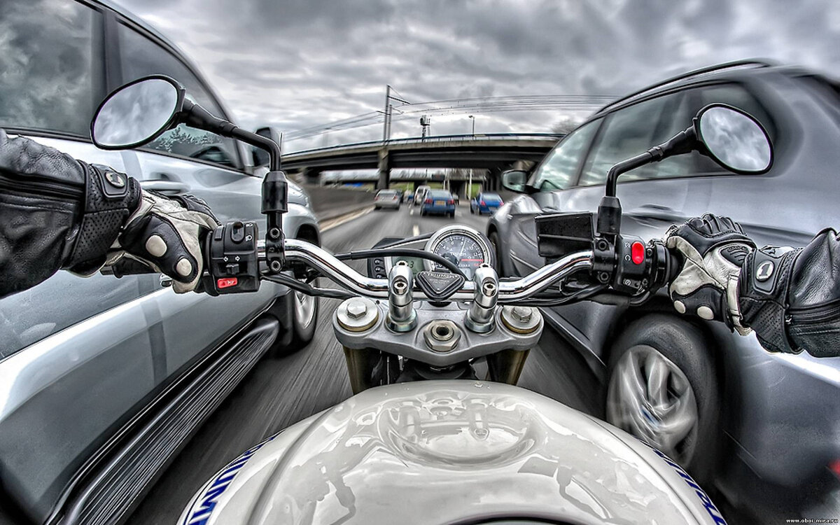 Изображение из открытого источника "Яндекс Картинки"