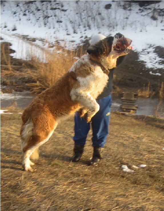 Листаем карусель 👉