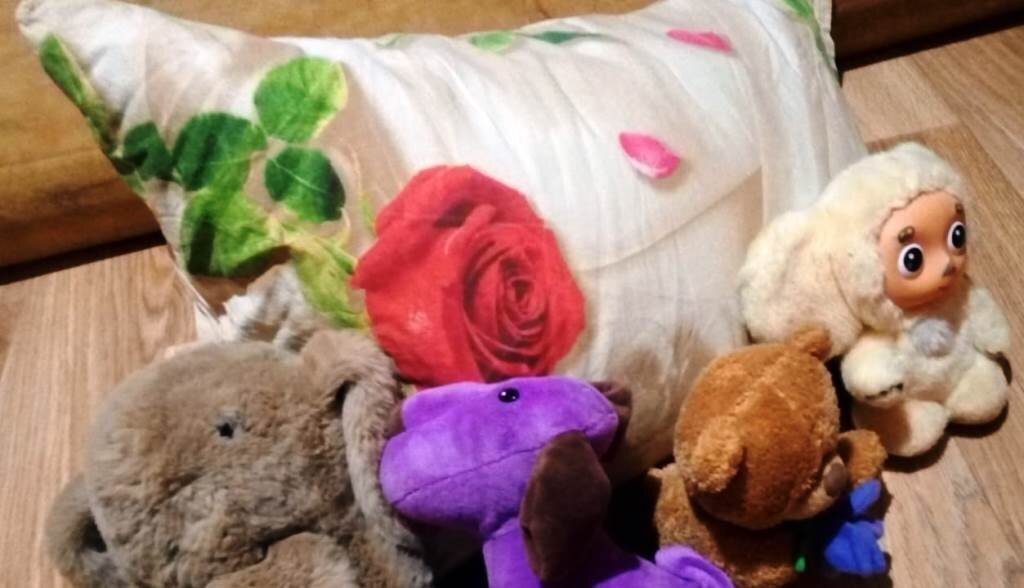 тем временем каждая желалка и нуждалка хочет своего места у подушки