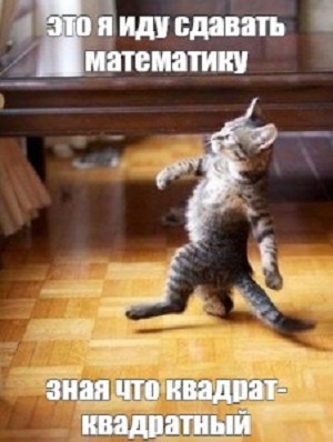 А биссектриса-это крыса.