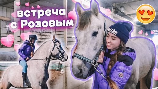 НАВЕЩАЮ РОЗОВОГО ! Долгожданная Встреча // VLOG конюшня