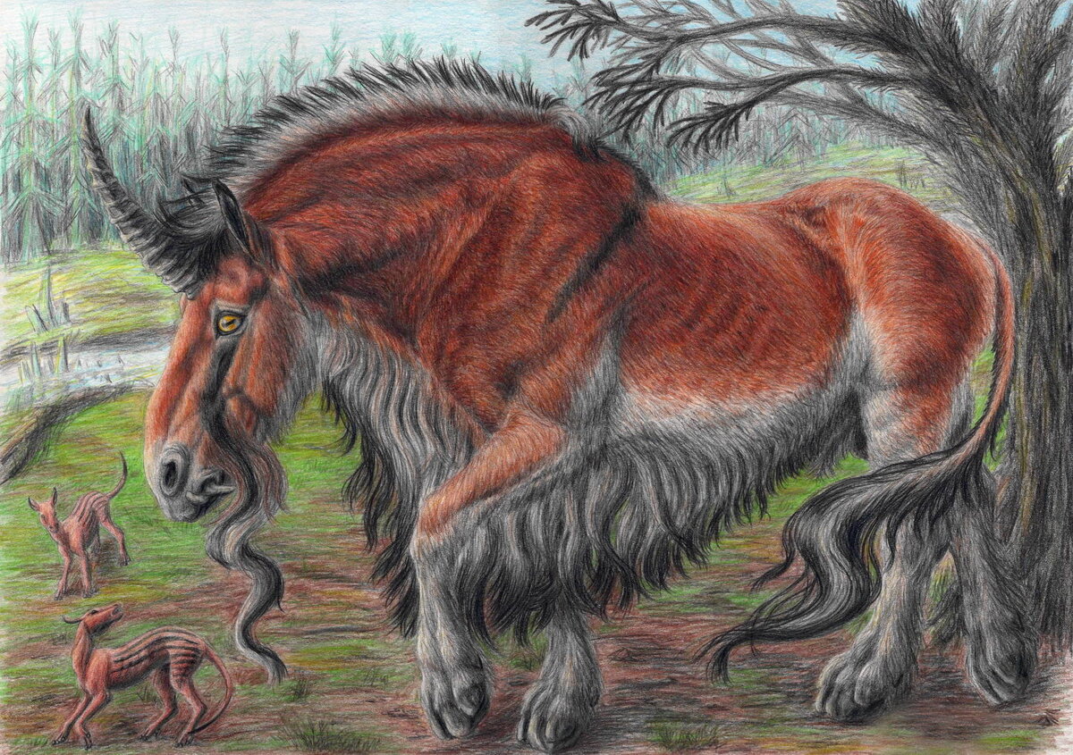 фото из интернета