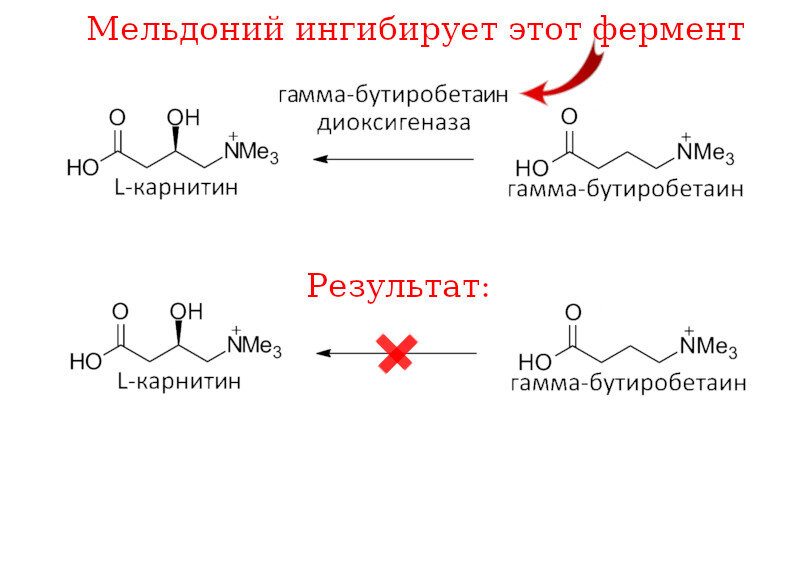 Прием мельдония для спортсменов. Мельдоний формула. Мельдоний Биоэнергия. Мельдоний запрет в спорте. Запрещен ли мельдоний для спортсменов.