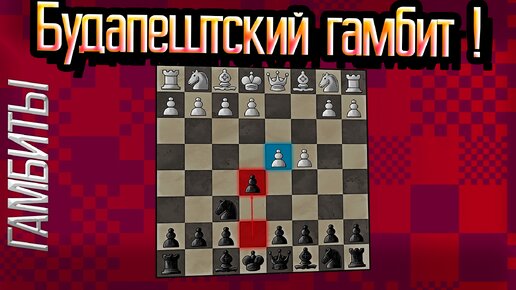 Гамбит что это в шахматах. Гамбит что это в шахматах