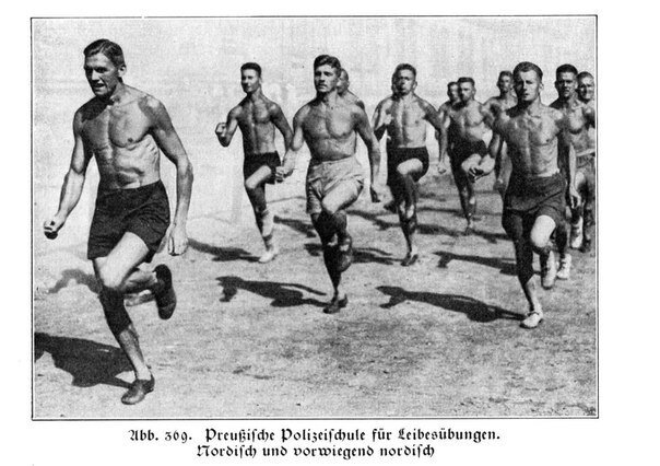 Пример телосложения