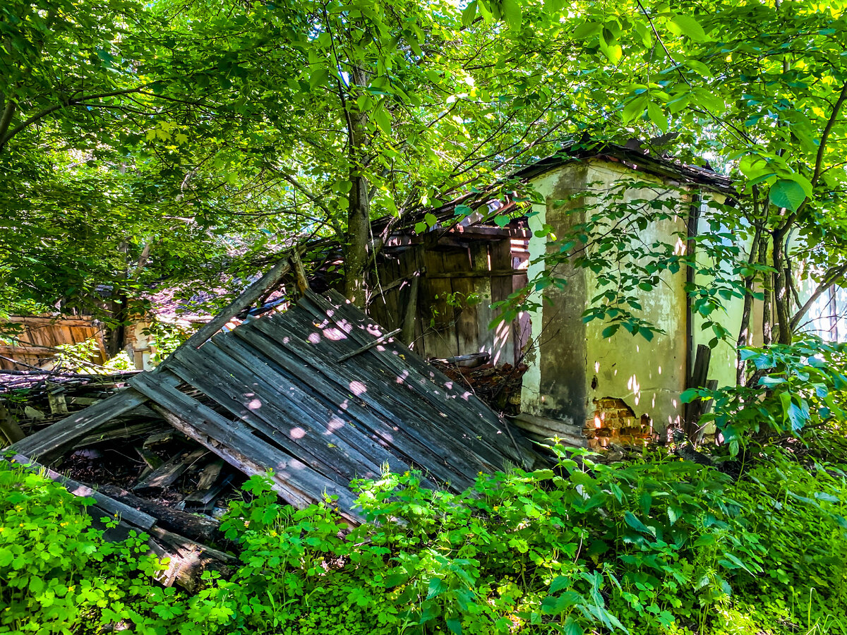 Жители села показали нам заброшенный клуб. За ним мы нашли старинное  надгробие из 19 века | Прекрасное рядом | Дзен