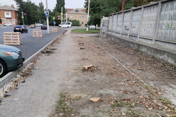 Ерш новочеркасск сегодня. Липы на Новочеркасском. Спилили в Новочеркасске. Авария вчера в Новочеркасске на буденновской ул. Новочеркасск уничтожен.