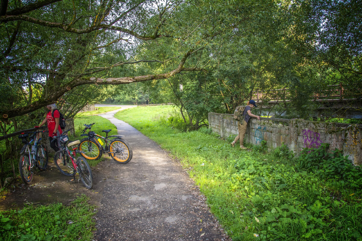 фотографии автора канала.