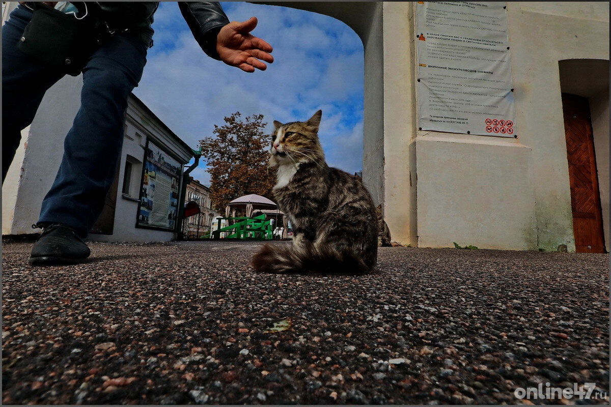 Валентин Илюшин/Online47