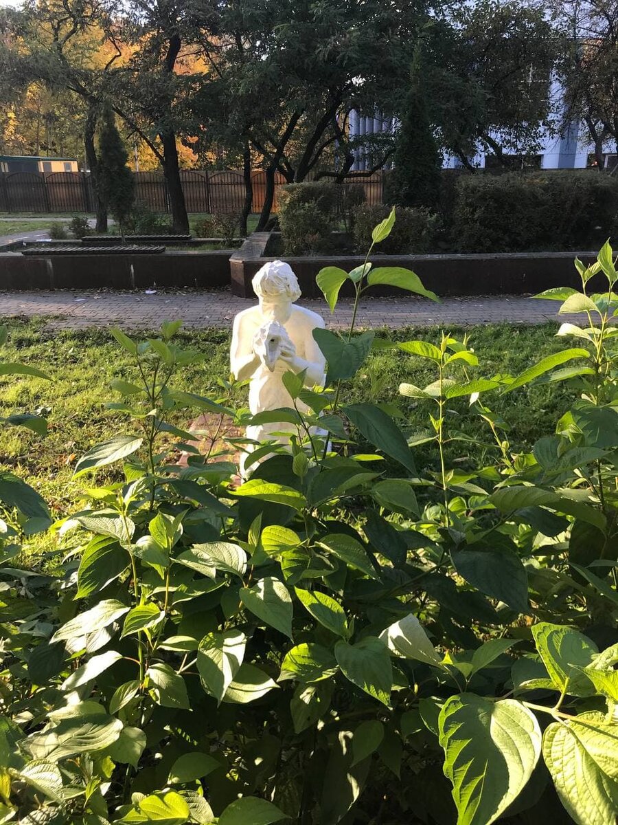 Фото с прогулки, очень было красиво и свежо