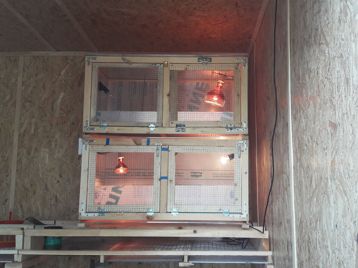 В ожидании жильцов