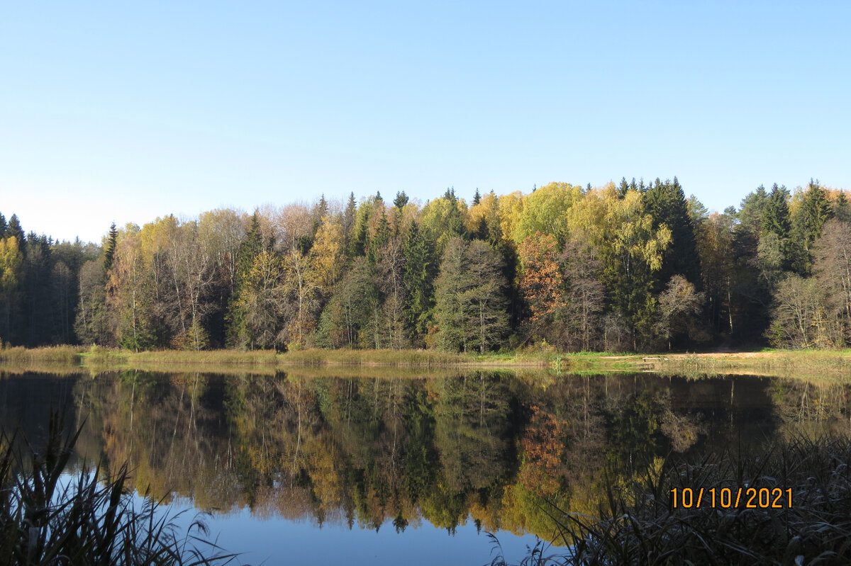 фото Лидии Бам