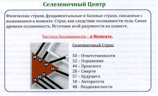 Селезеночный авторитет