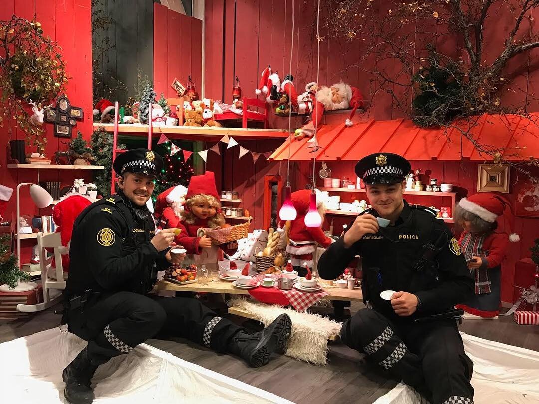 Полиция Рейкъявика. Источник: bigpicture.ru