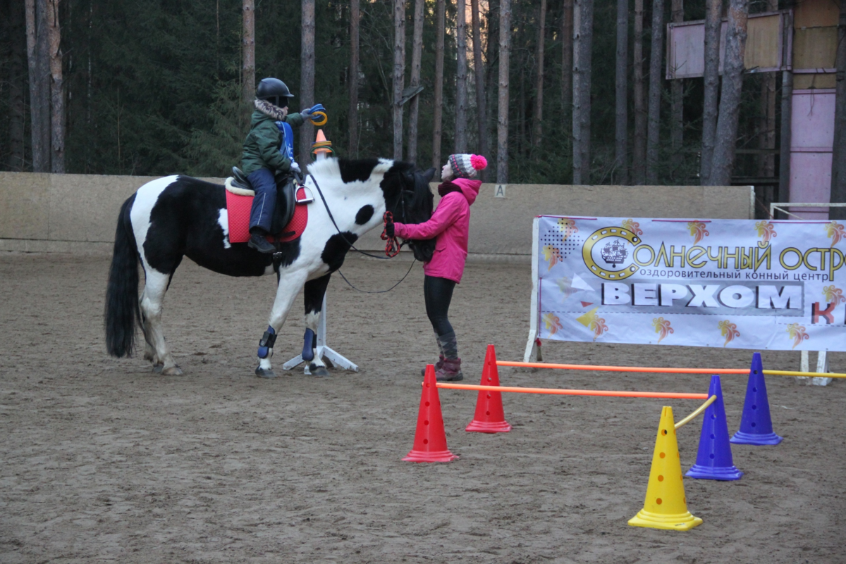 Фото: https://vk.com/sunny_spb_ru 