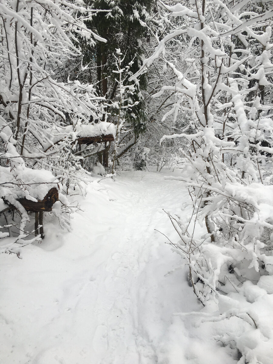 Зимой мечтал о лете и вот опять зима. Снова мечтаю о лете.
