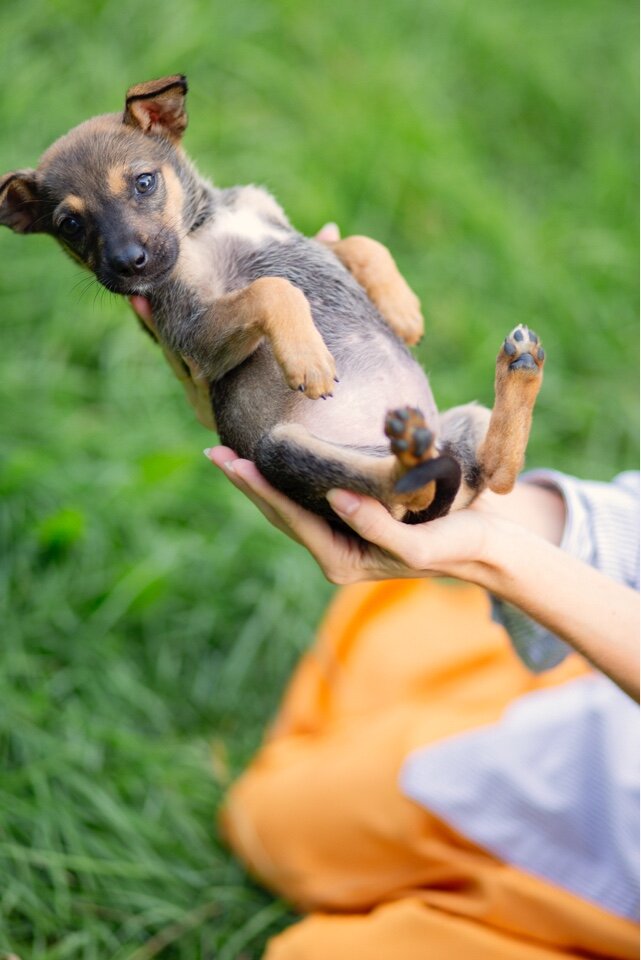 Фото- собственность канала