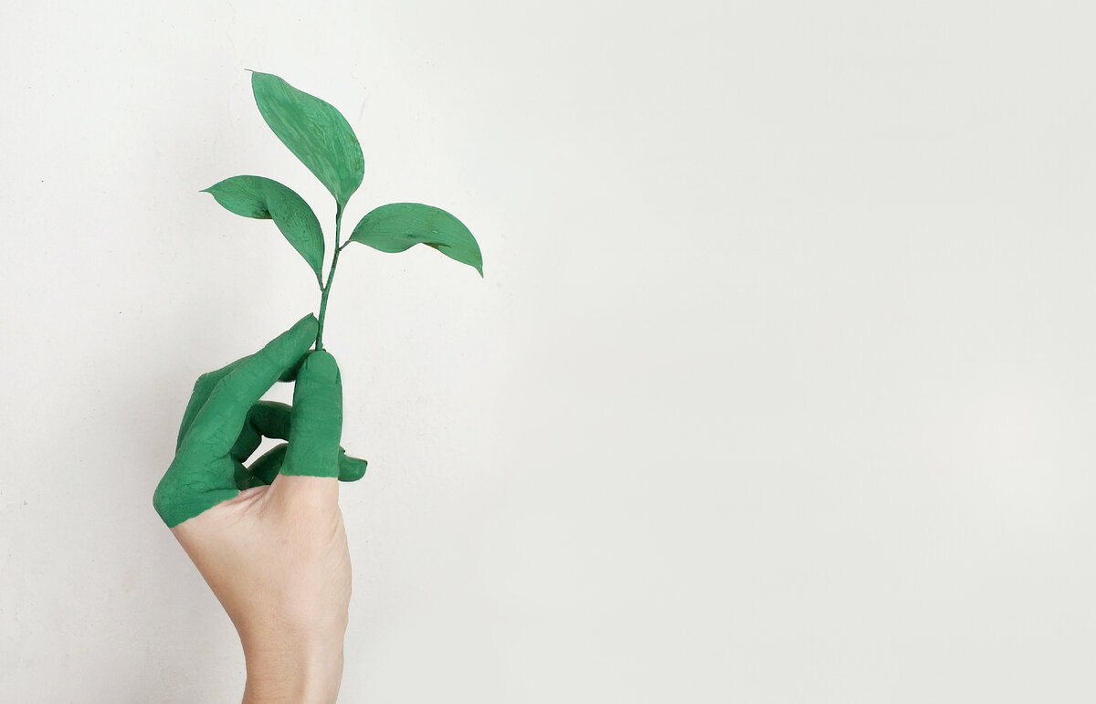 https://www.pexels.com/ru-ru/