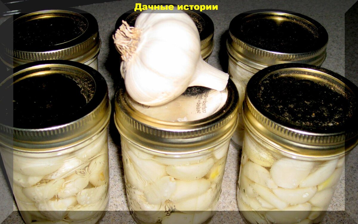 https://vk.com/photo-159774511_457250152