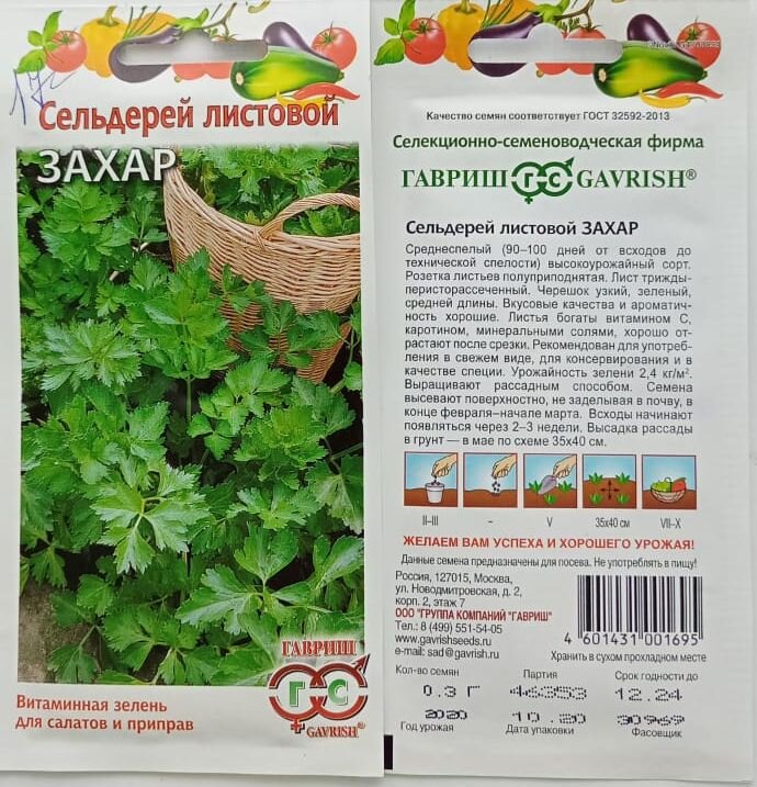 Сорта листового и черешкового сельдерея. Фото автора