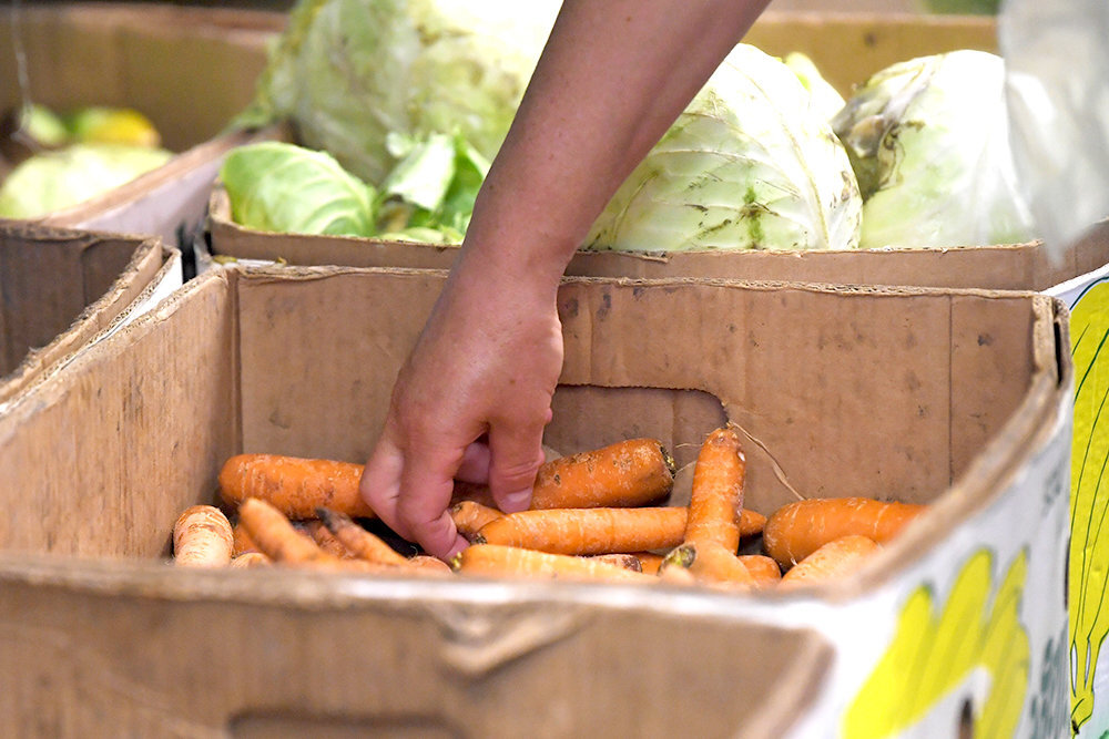 Фото: Павел Бедняков/ РИА Новости