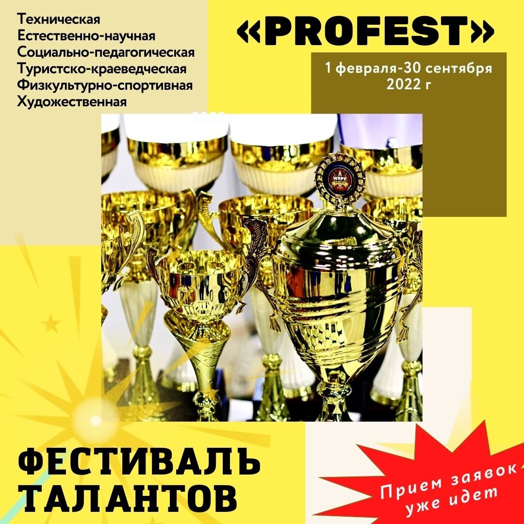 PROFEST» или Как превратить личные достижения в профессию мечты | Техническое  творчество Челябинской области | Дзен