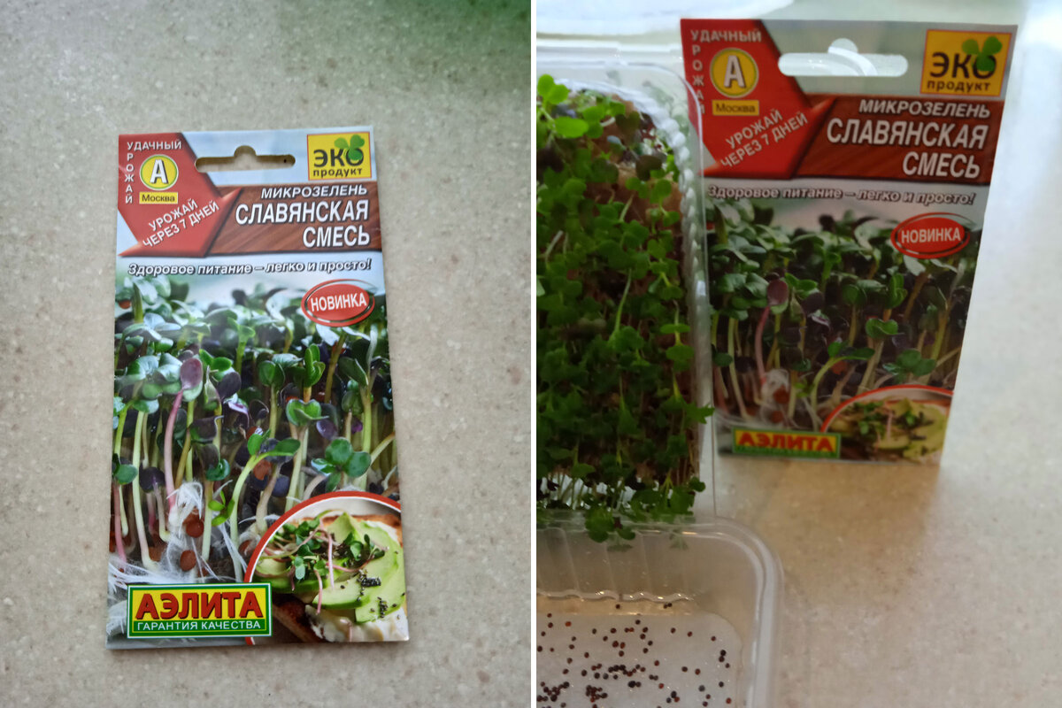 Семена АЭЛИТА и то,что из них выросло. 