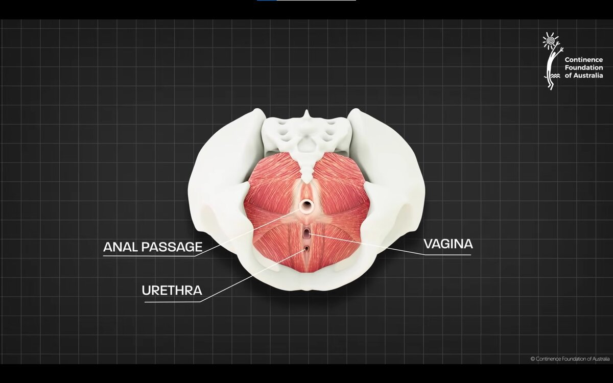 А это картинка снизу.