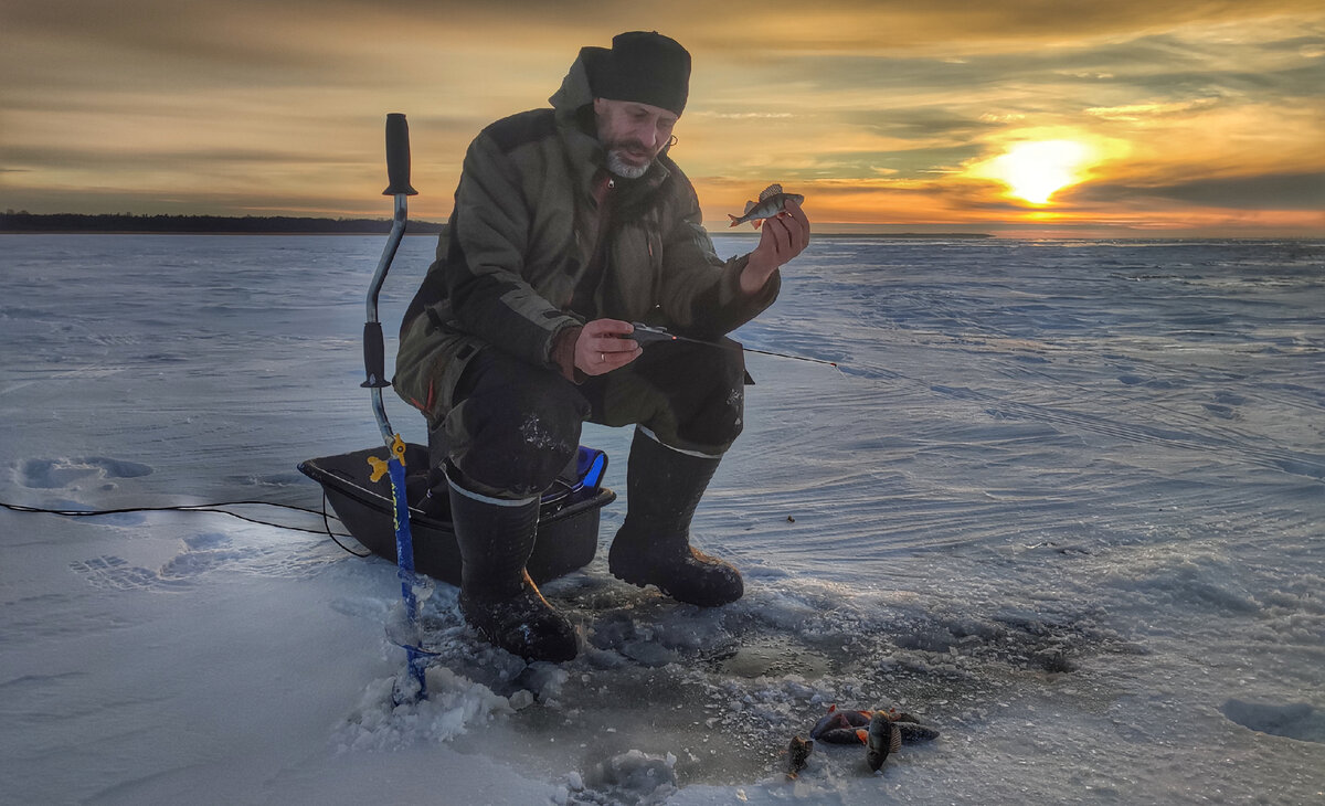 Ладожские "горбачи"