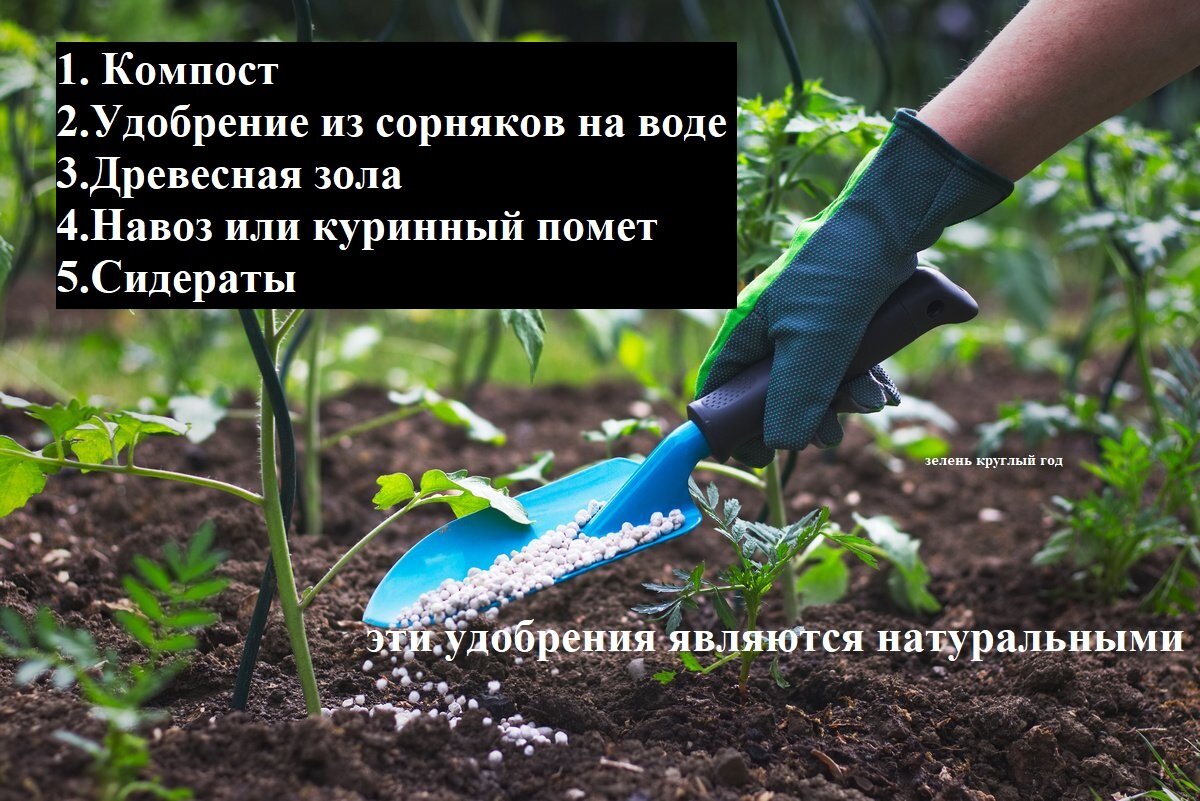 это не полный список  натуральных удобрений