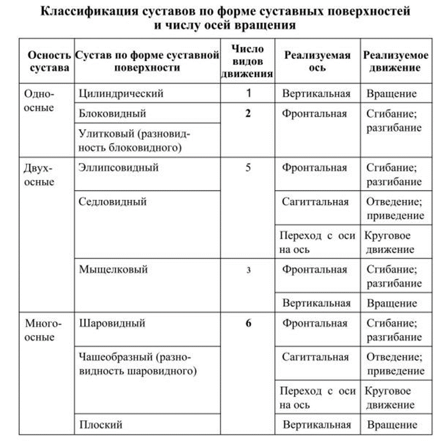 Классификация суставов