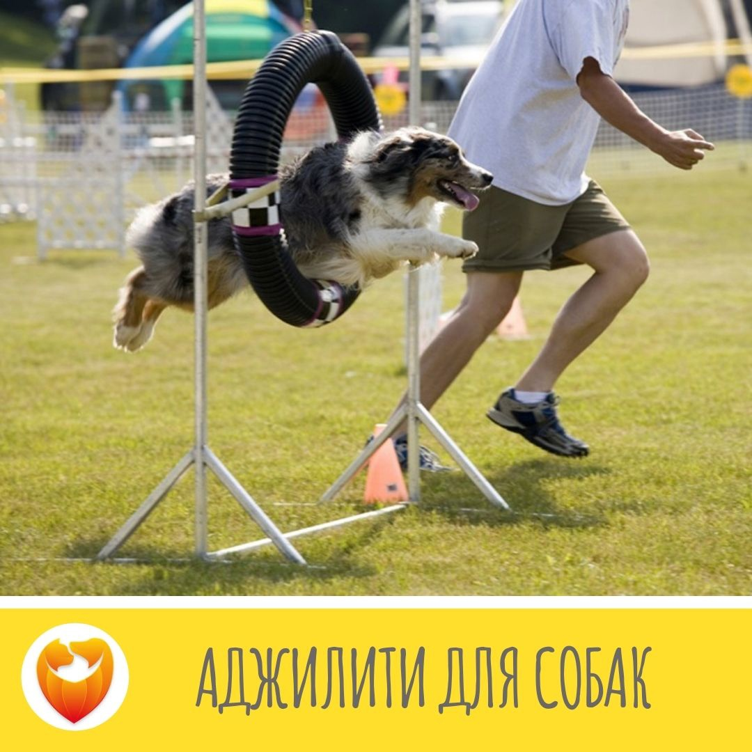 Подпишись на наш канал и получай полезную информацию ежедневно!