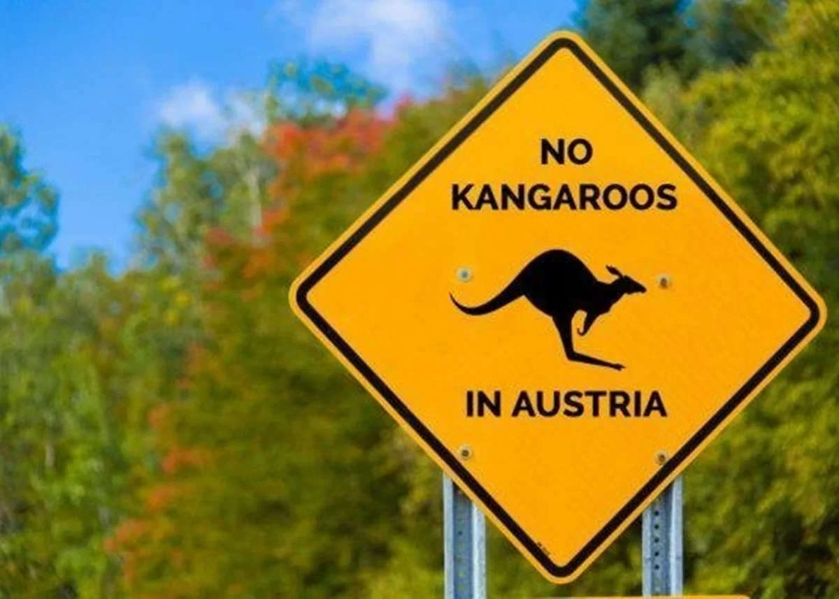 Эту страну буш перепутал с австралией. No Kangaroos in Austria. Австрия кенгуру. Здесь нет кенгуру.