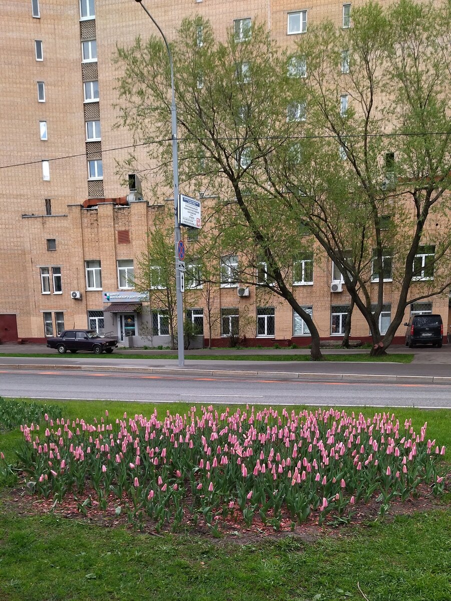 По дороге из поликлиники. 