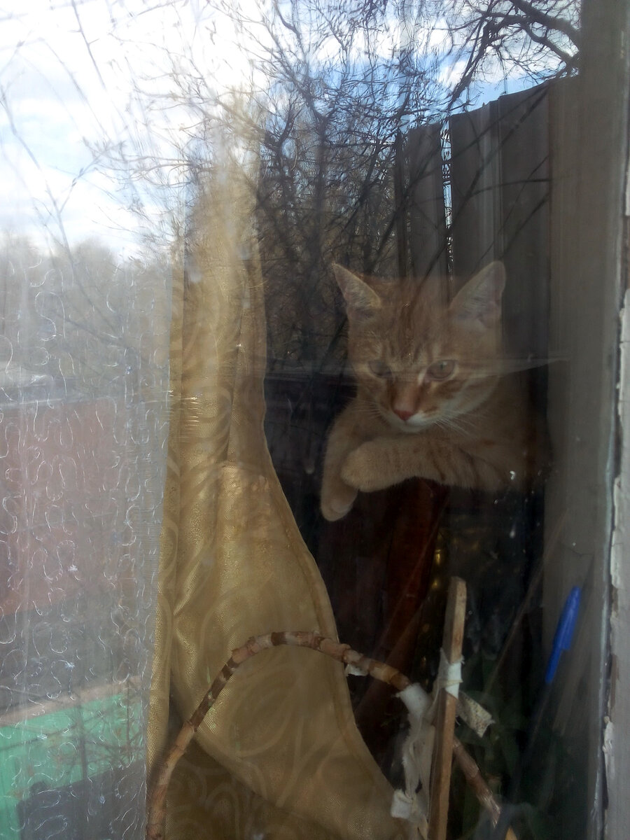 Личное  фото. 