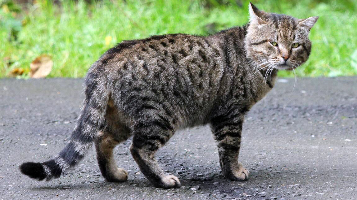 источник фото: natalyland.ru