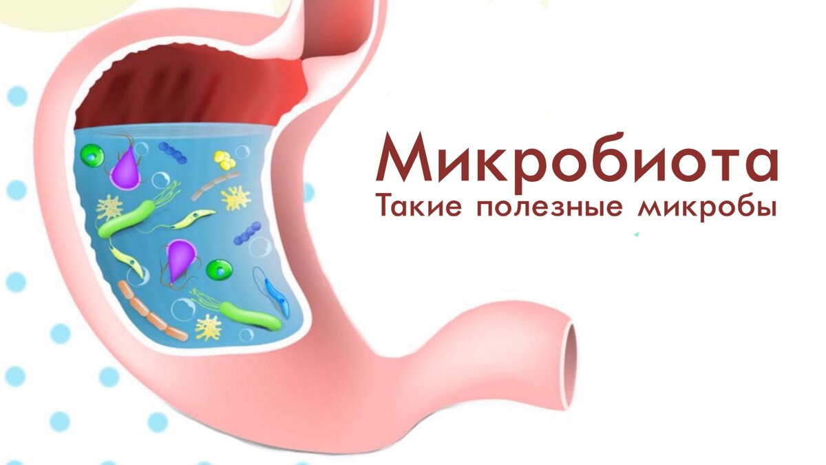 Что такое микробы?