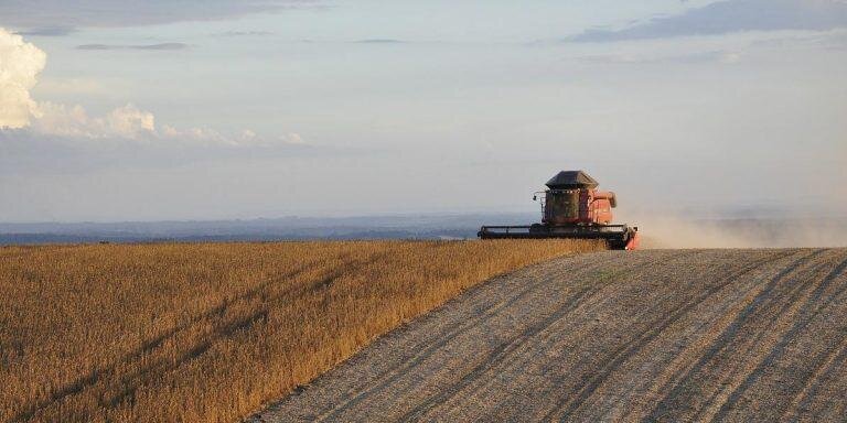 Фото: https://pixabay.com