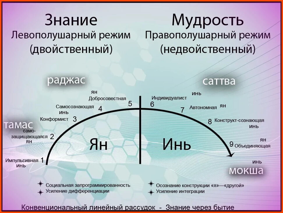 Путь ученого