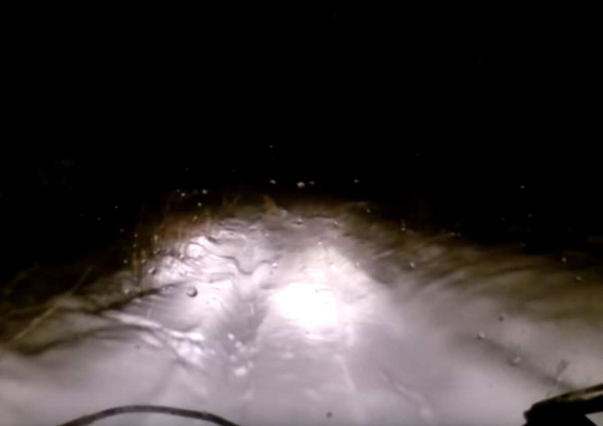 Таких случаев известно несколько.
Источник: https://cdn.outdoorhub.com/wp-content/uploads/sites/2/2016/11/RussianBigfoot.jpg