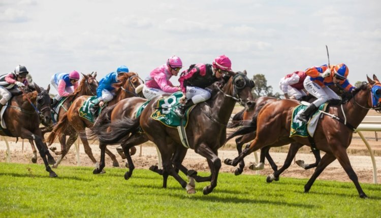 Фото: из открытых источников