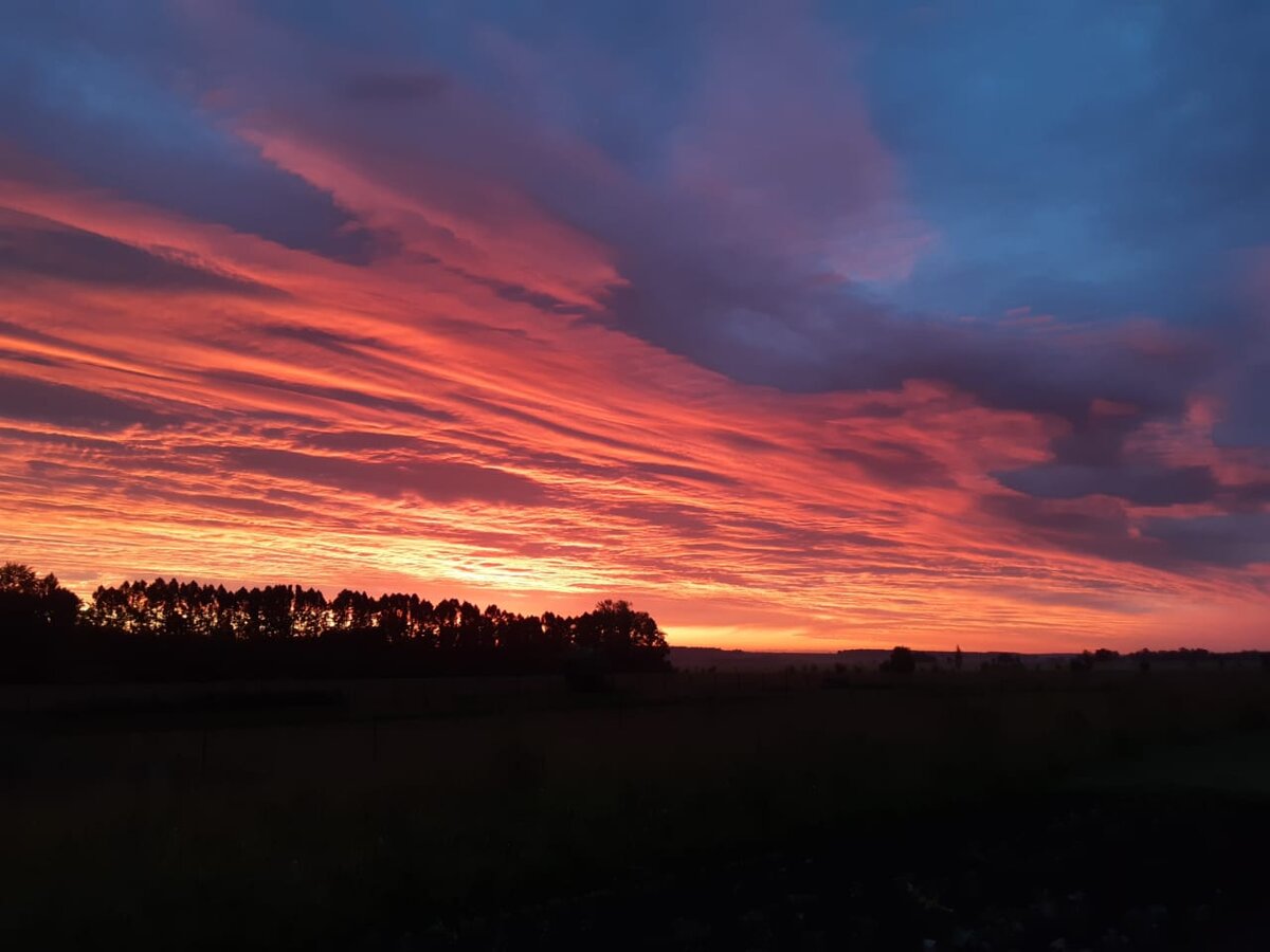 (картинка взята из открытых источников интернета)