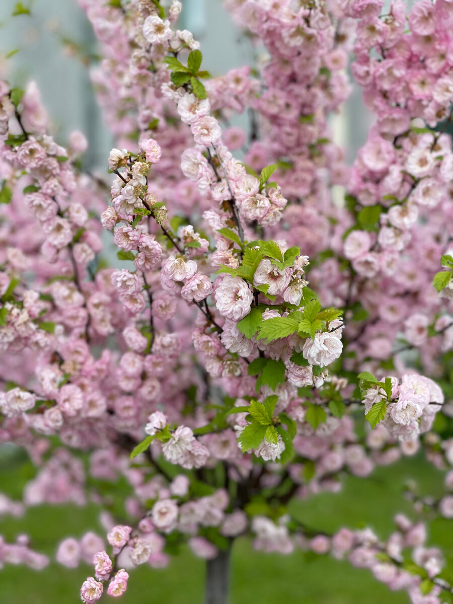 Фото из архива автора 