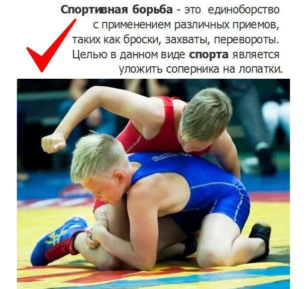 Спортивная борьба