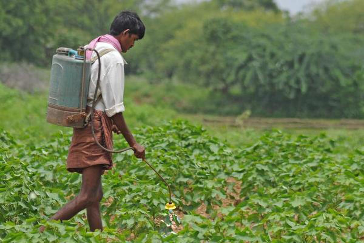 Источник: frontline.thehindu.com