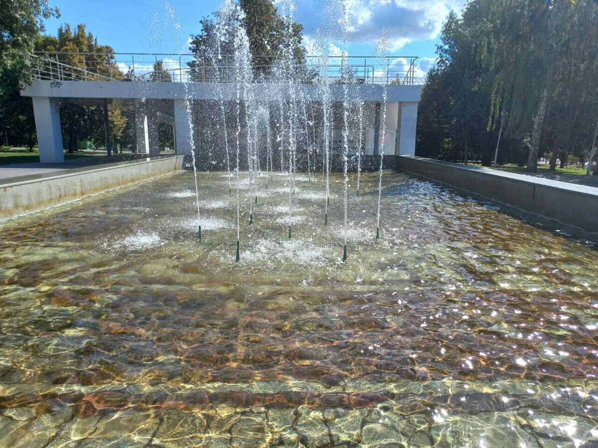 Фото автора.