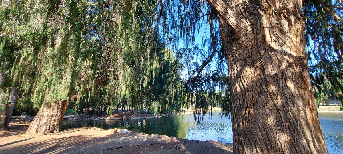 Fairmount Park. Первозданная природа. Фото из личного архива автора. 