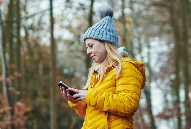    Источник изображения: Bullitt