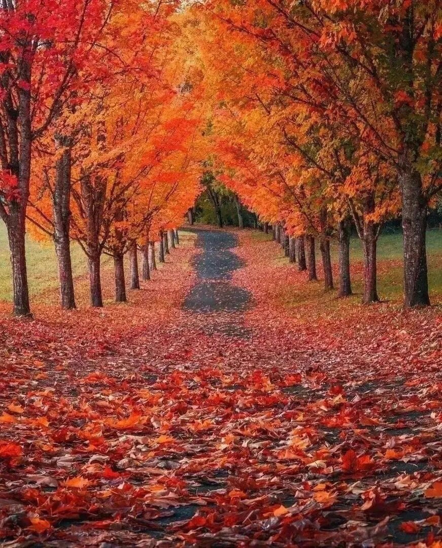 Наша планета.  Фотография сообщества «Travel Corporation - путешествия, туризм»