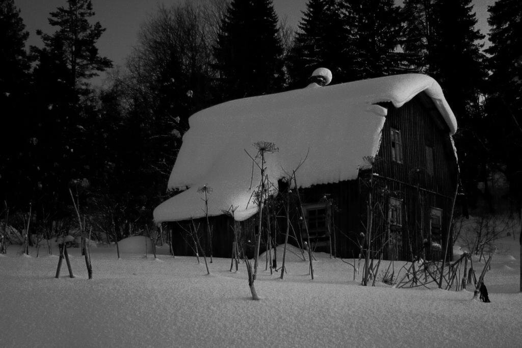 фото из открытых источников интернета